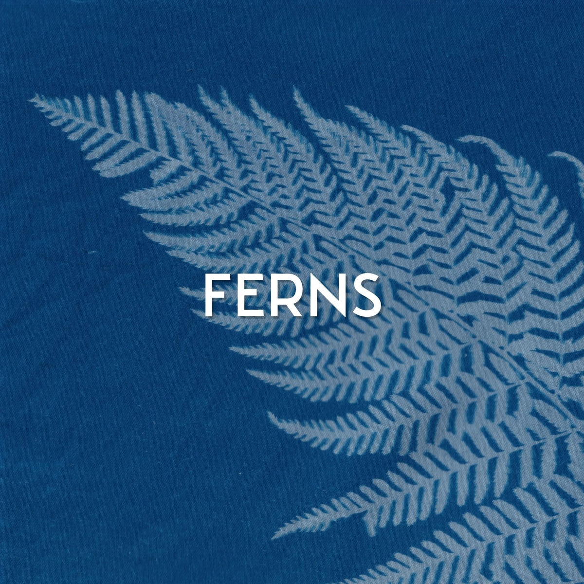 FERN COLLECTION