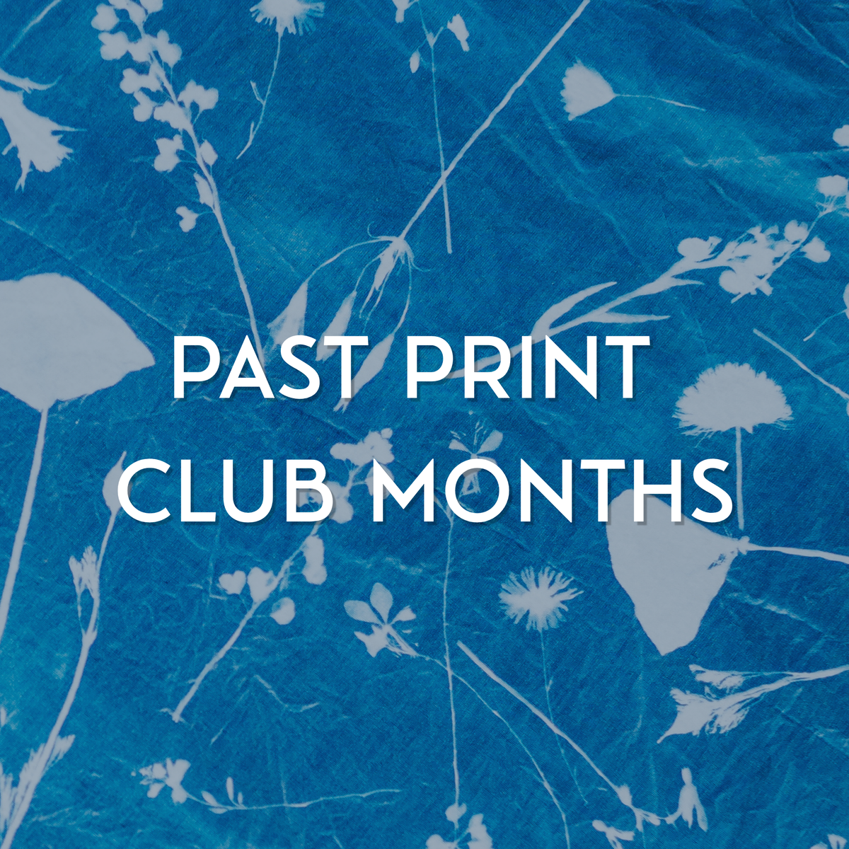 LFTS Print Club: Past Months