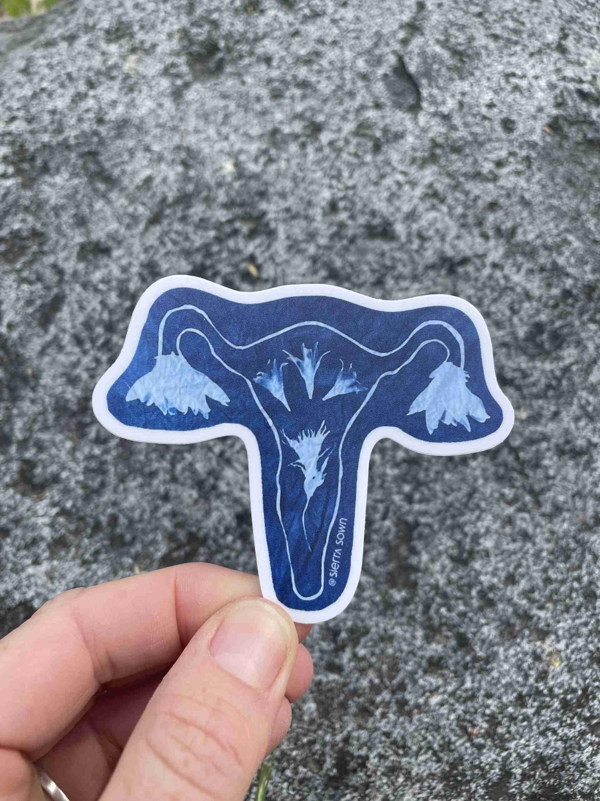 Sticker: Cyanotype Uterus image 1