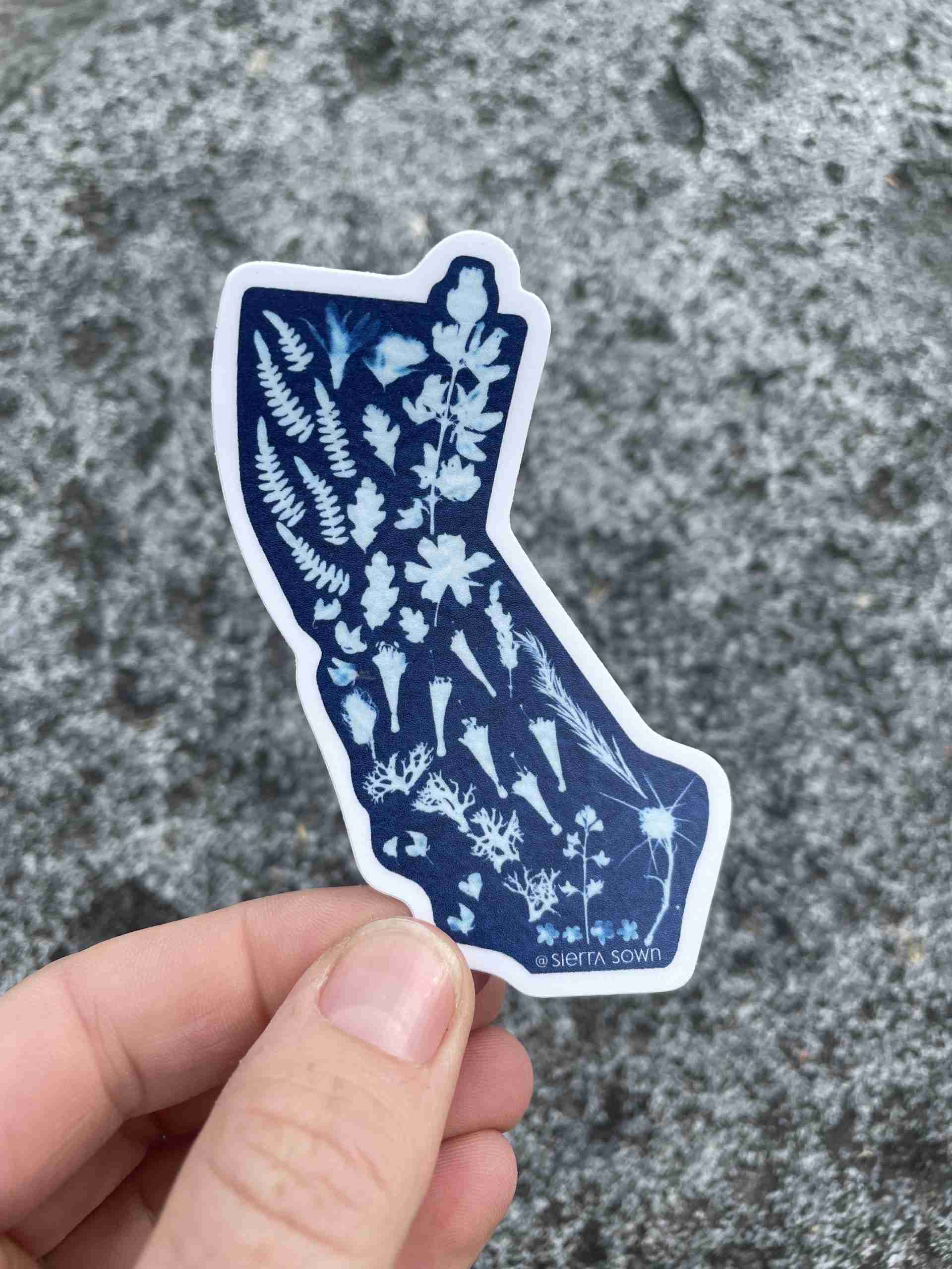 Sticker: Cyanotype California image 1