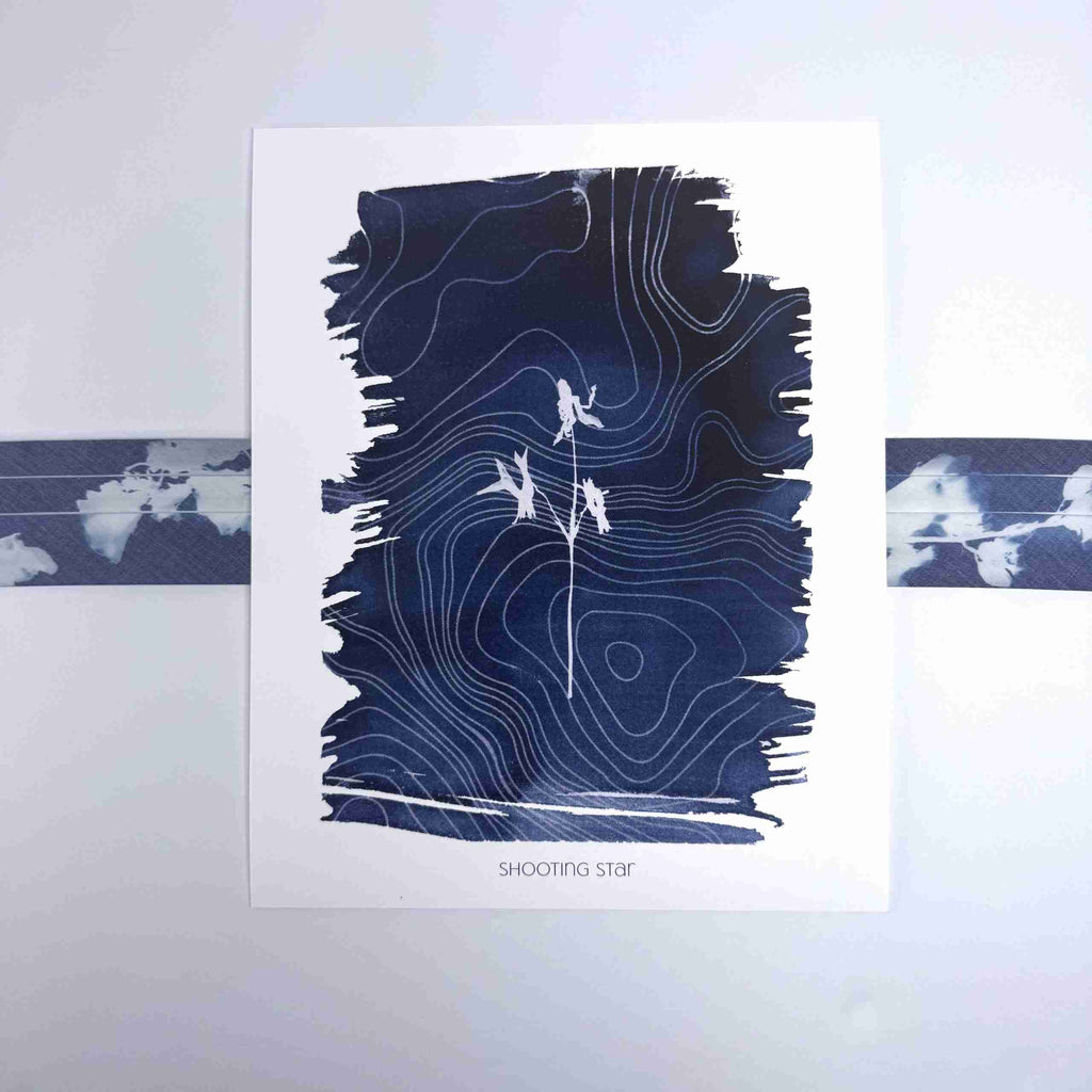 Art Print-Shooting Star - 8x10 Print image