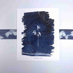 Art Print-Shooting Star - 8x10 Print image
