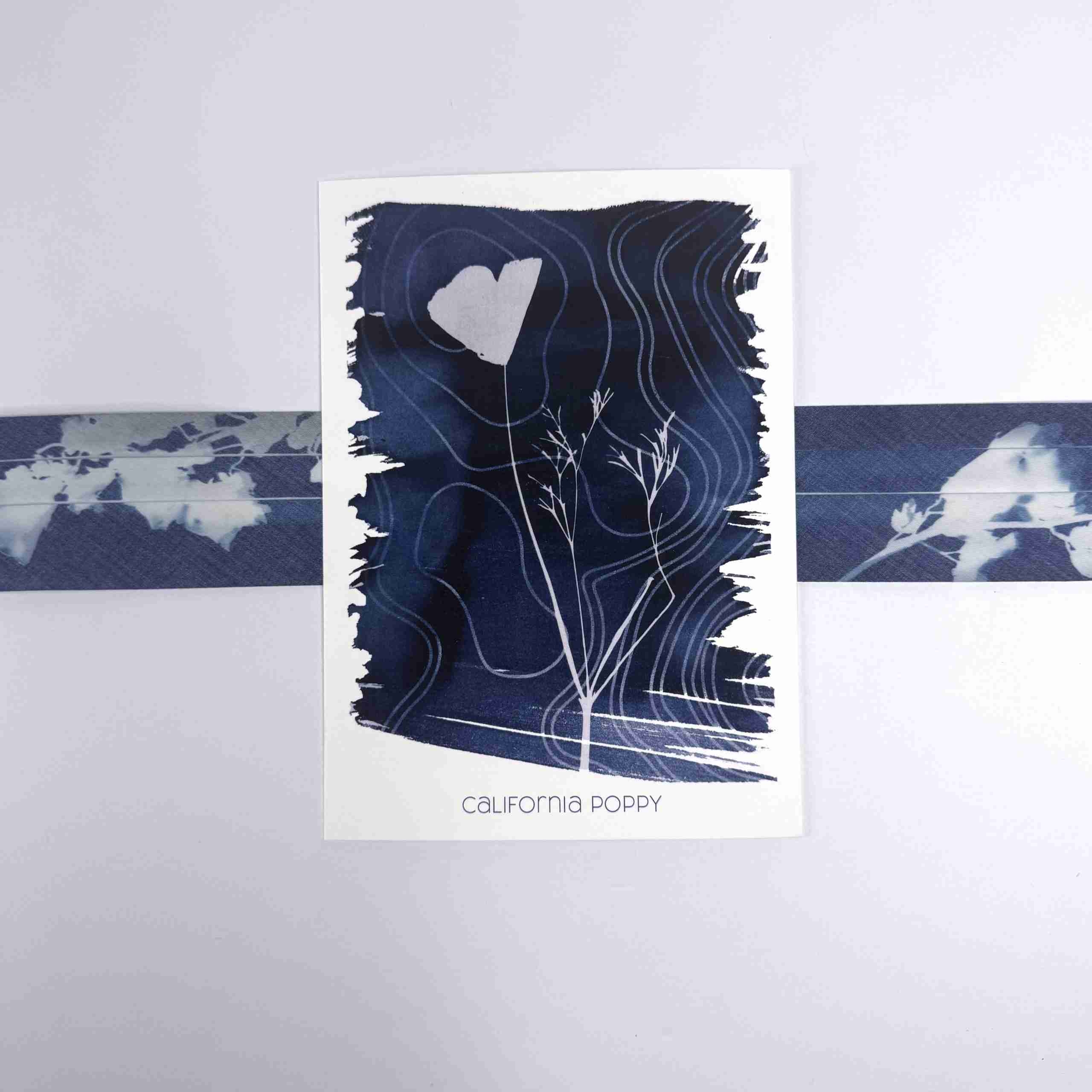 Art Print-California Poppy image 2