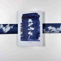 Greeting Card: Lupine + Topo Map image 0
