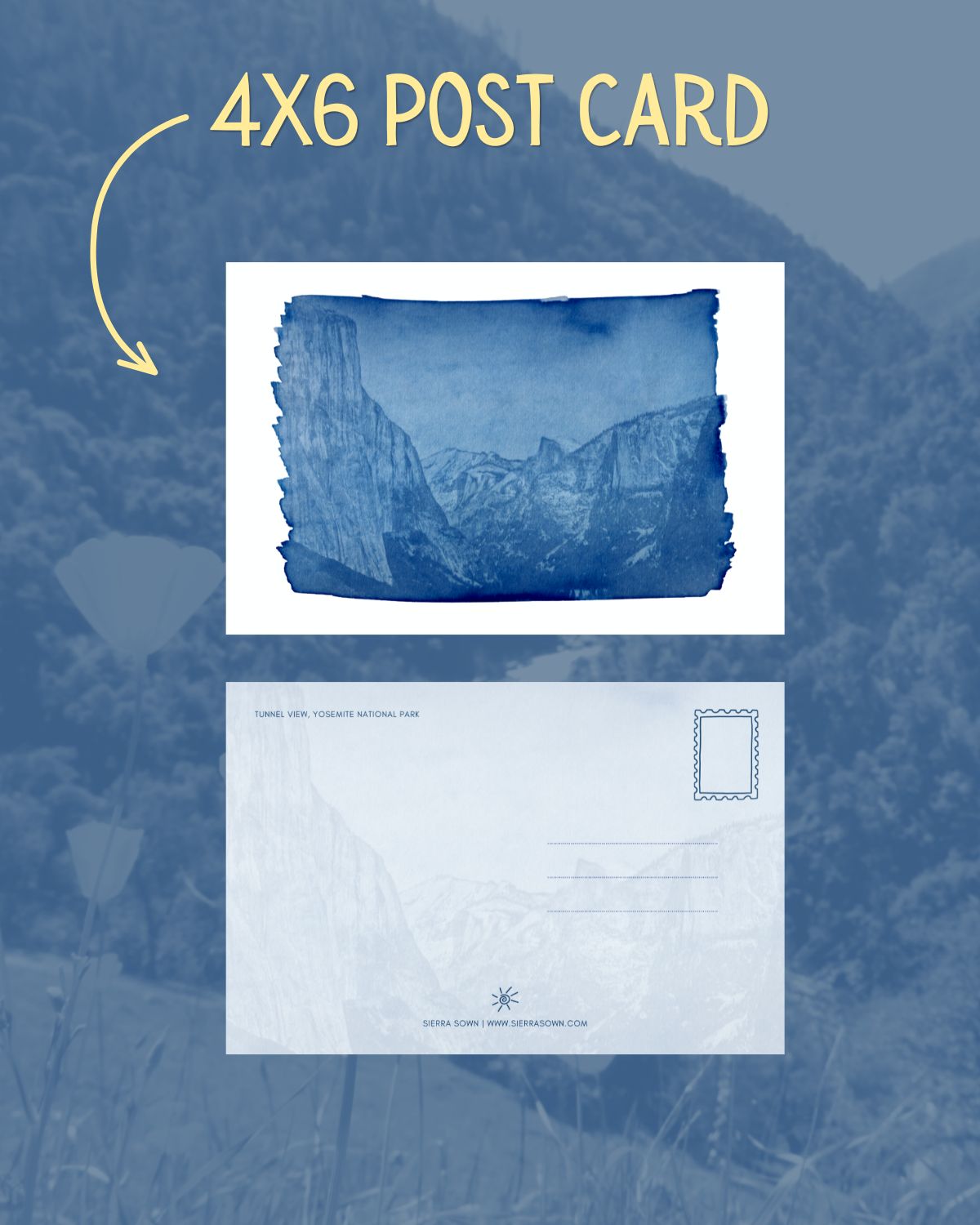 Letters from the Sierra: July 2026