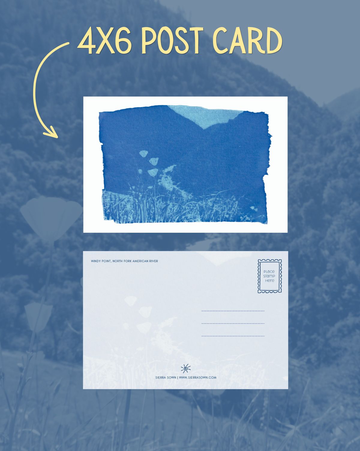 Letters from the Sierra: June 2026