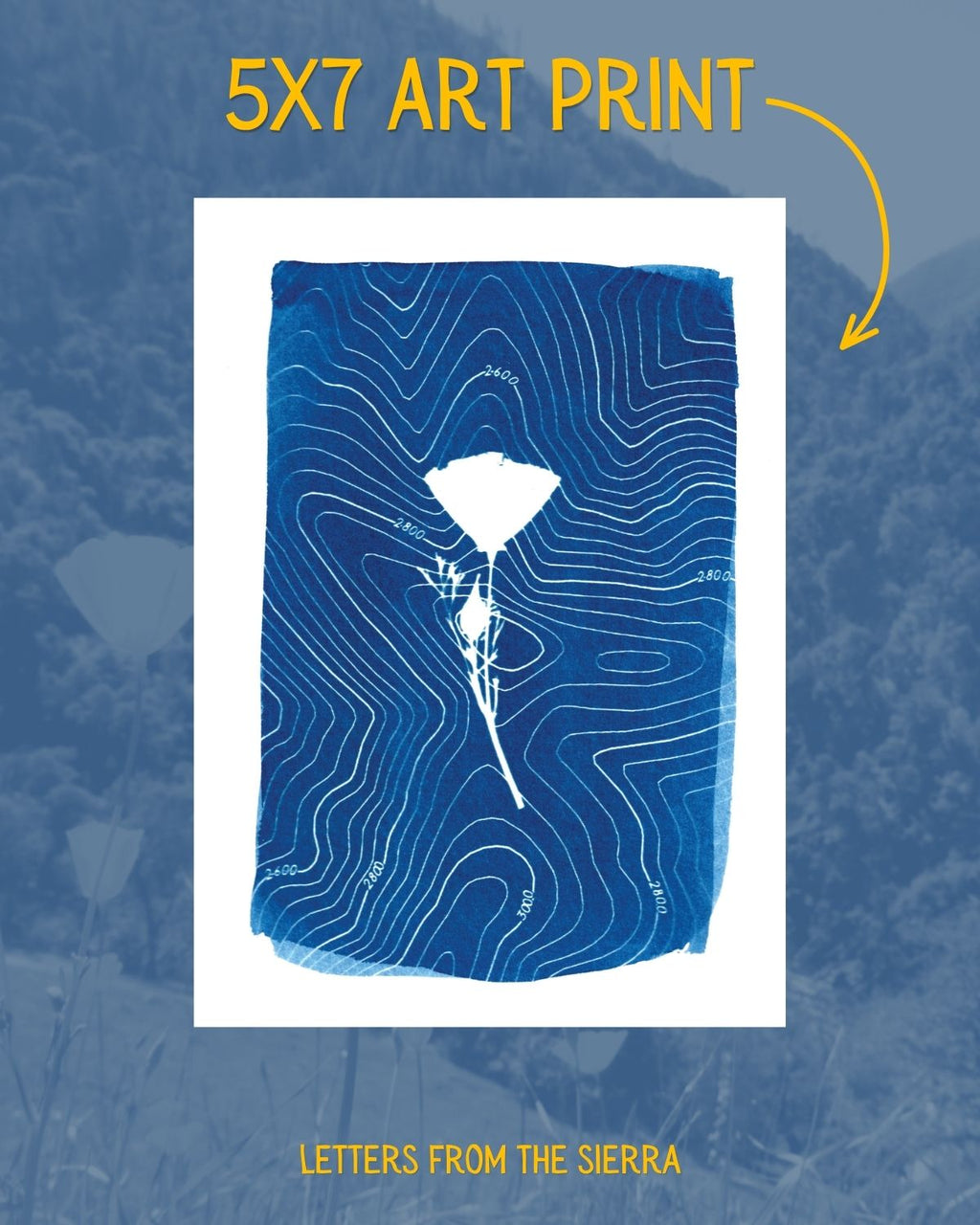 Letters from the Sierra: Monthly Print Club Subscription