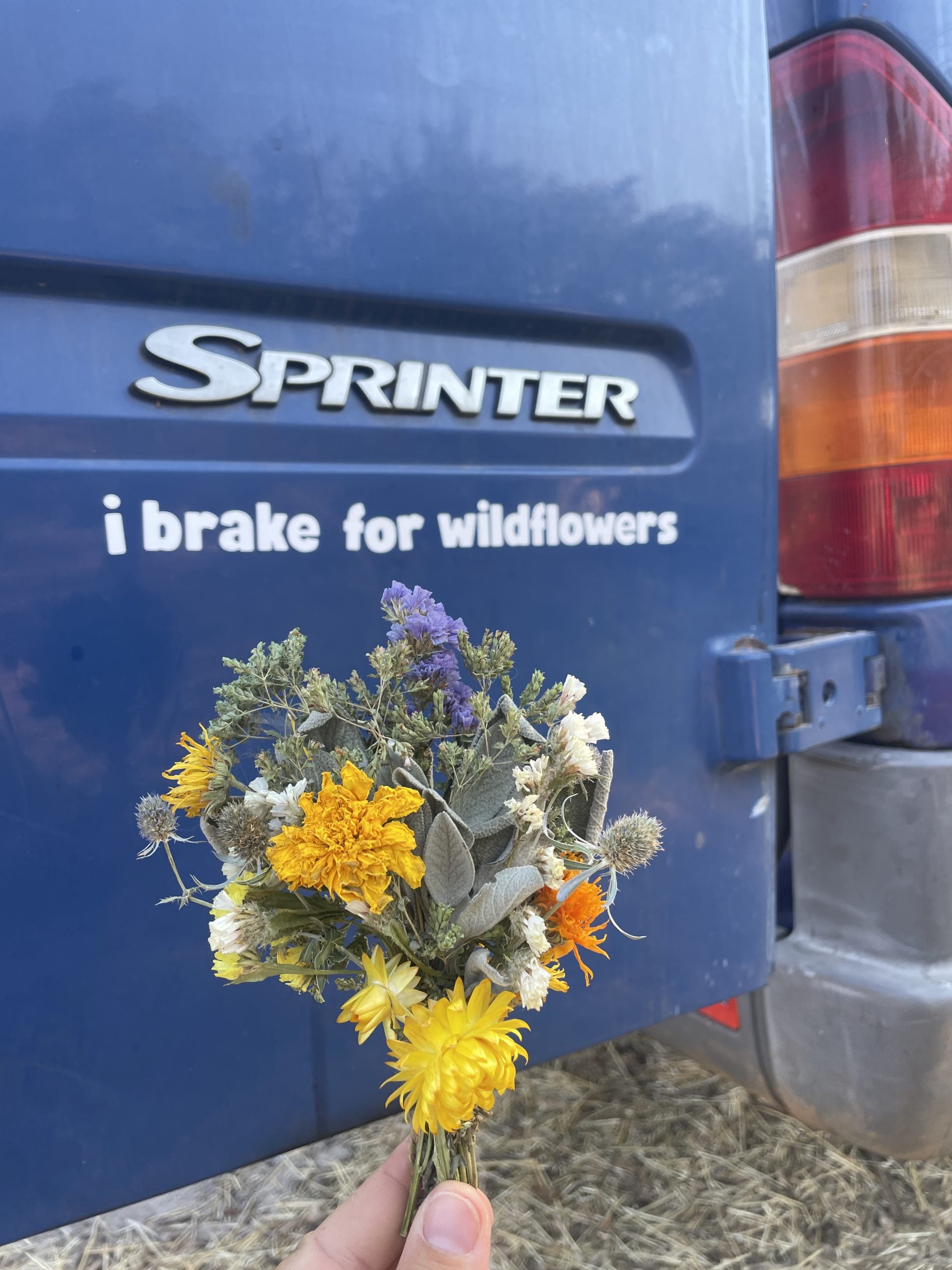 Sticker: Vinyl 'I Brake for Wildflowers' image 2