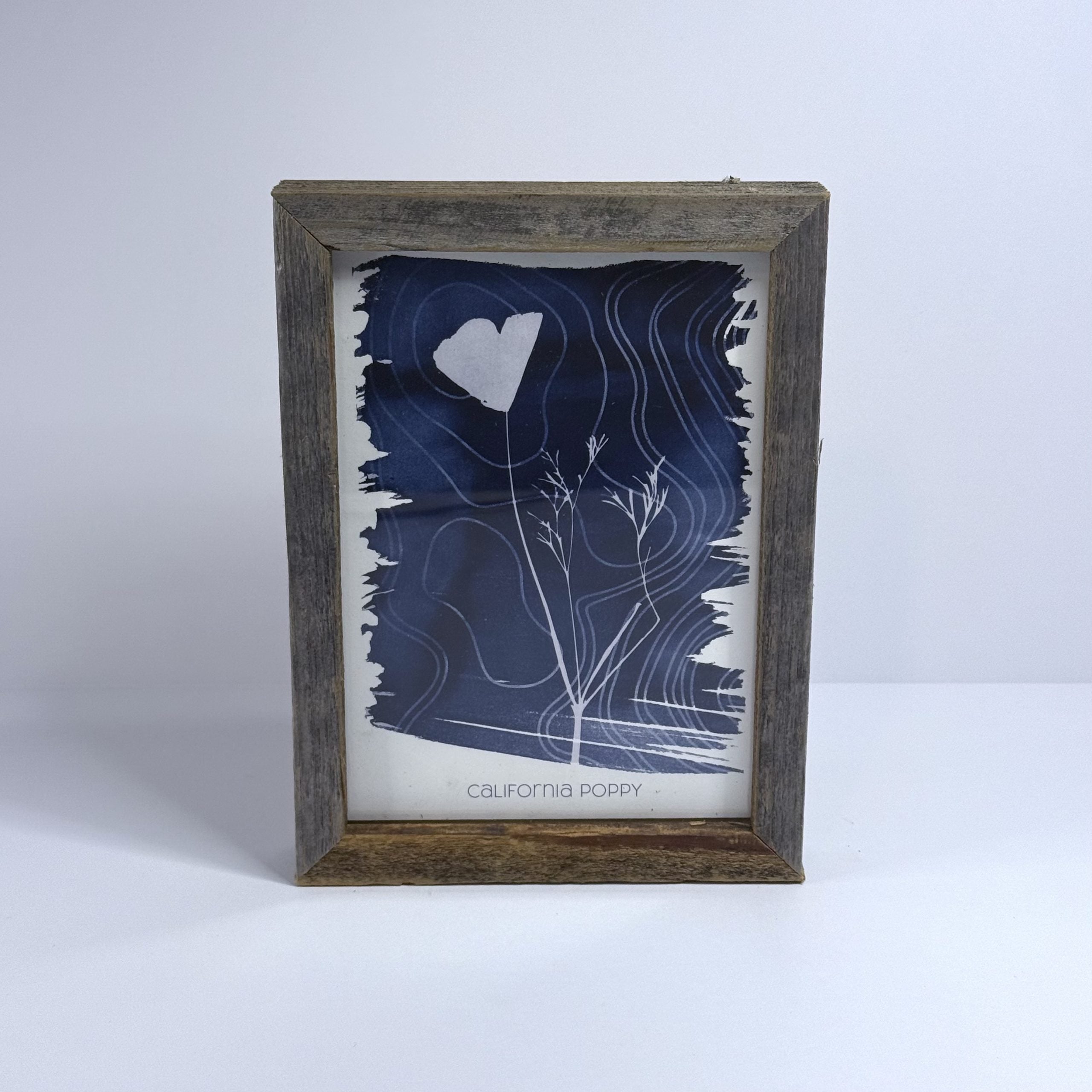 Art Print-California Poppy image 5