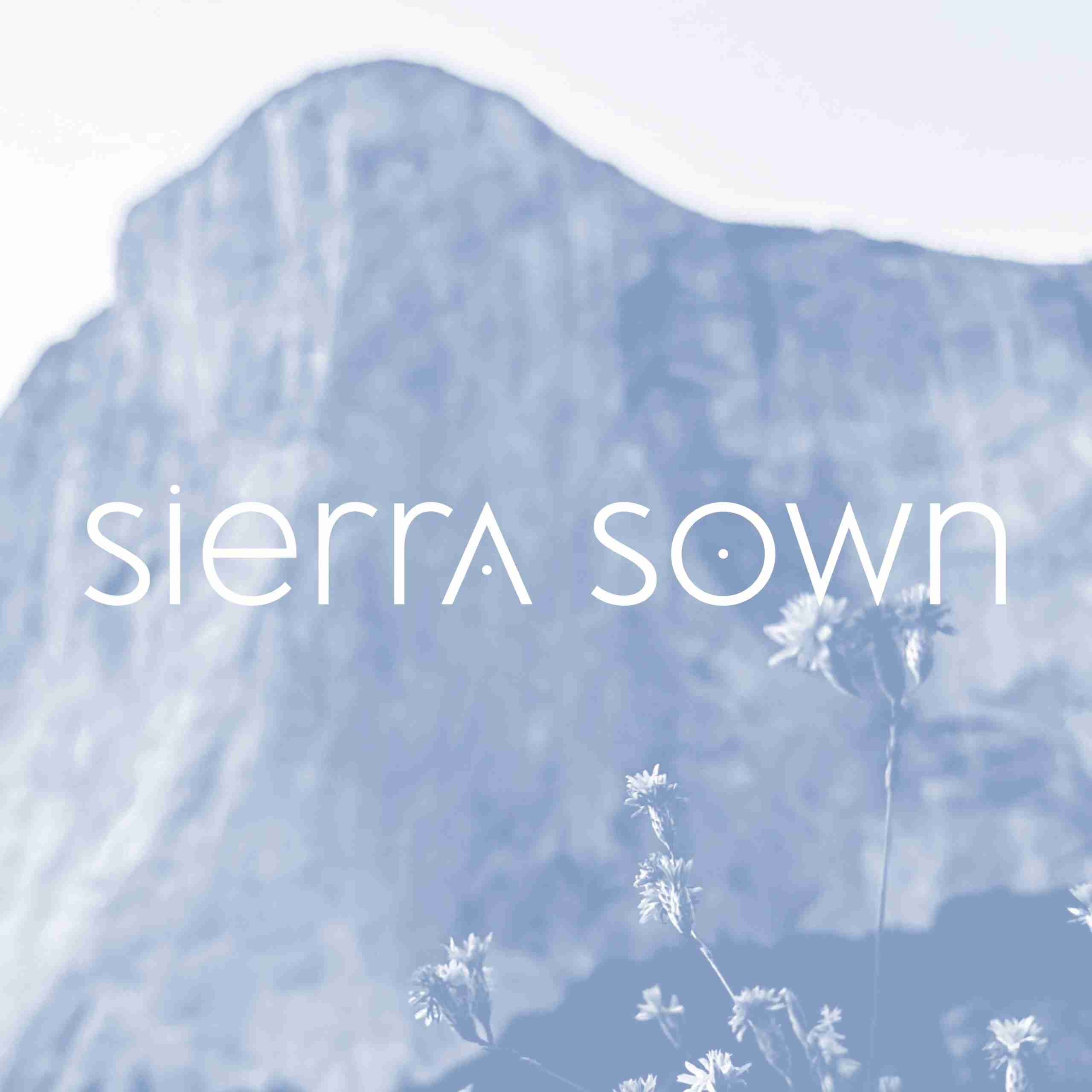 Sticker: Vinyl Sierra Sown Long Logo image 0