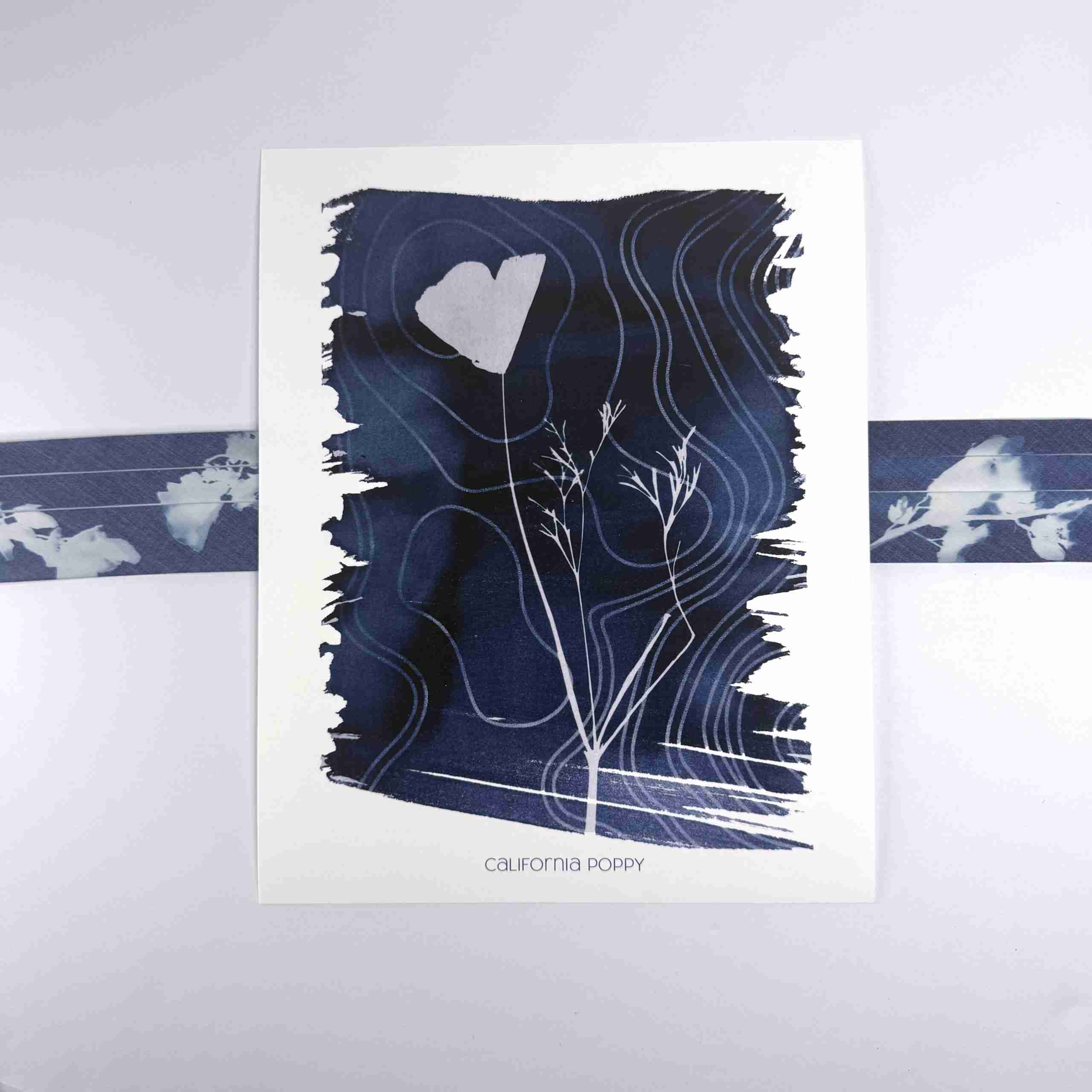 Art Print-California Poppy image 0