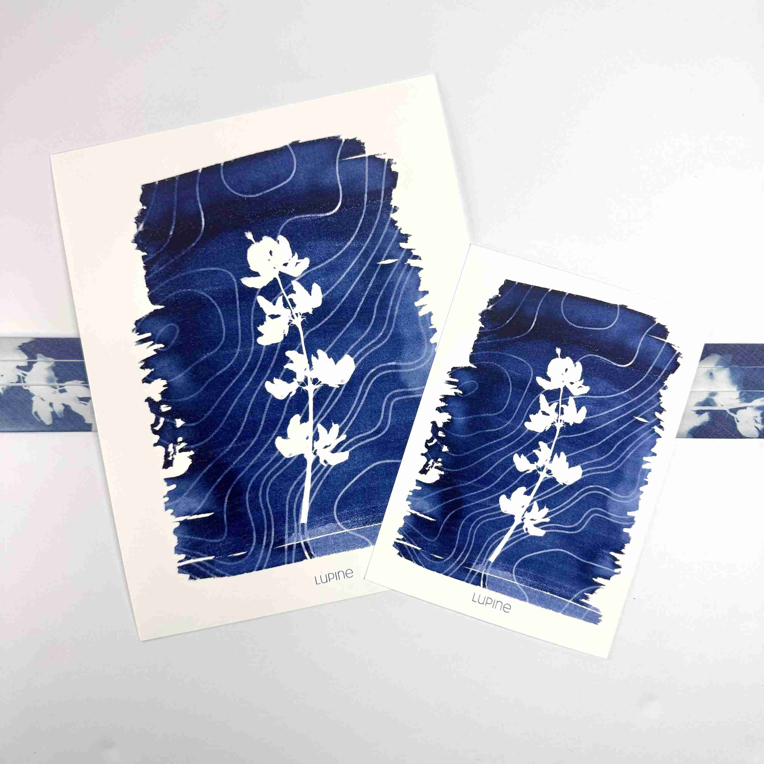 Art Print-Lupine image 1