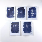 Greeting Card Set: 5 Wildflowers + Topo Maps image 1