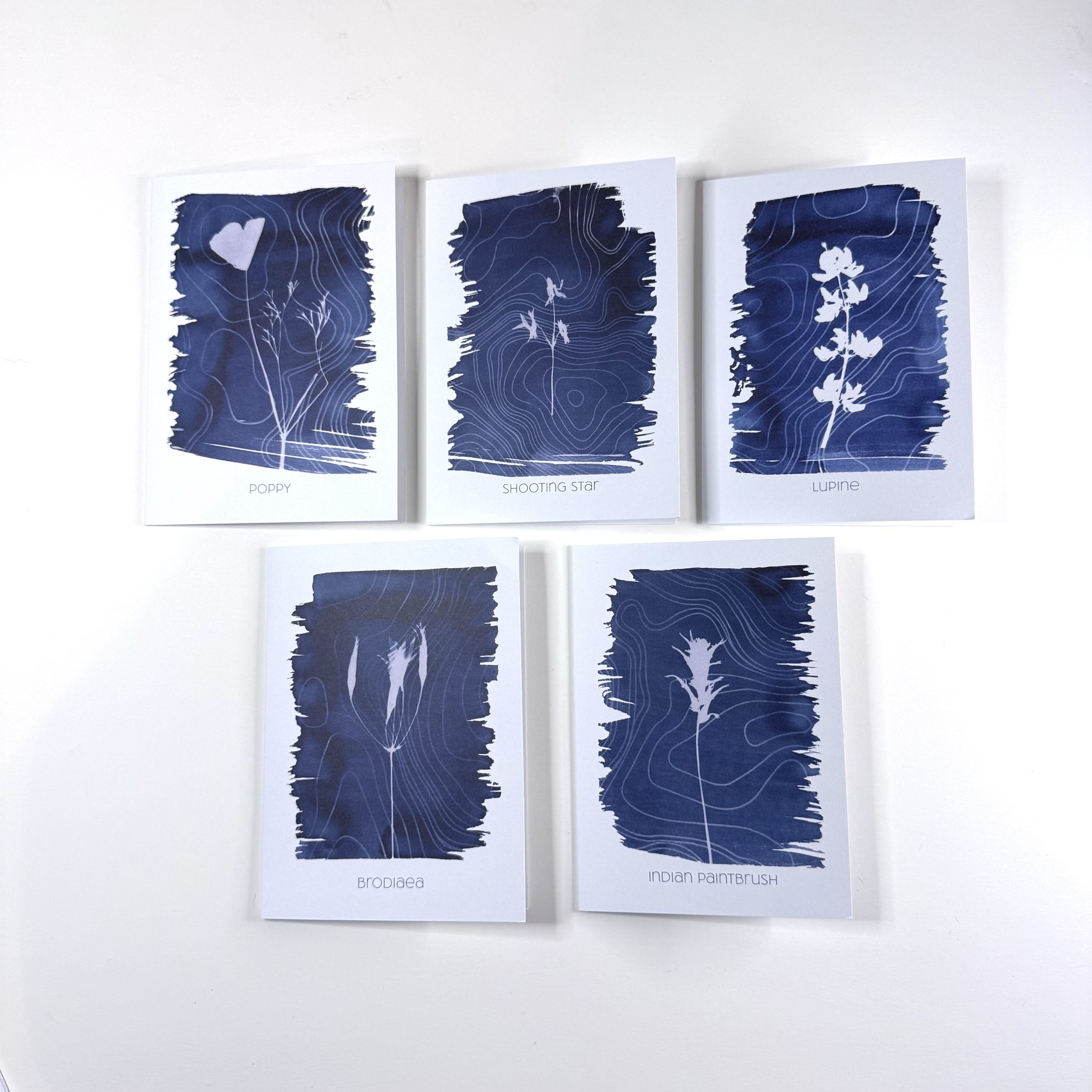 Greeting Card Set: 5 Wildflowers + Topo Maps image 1