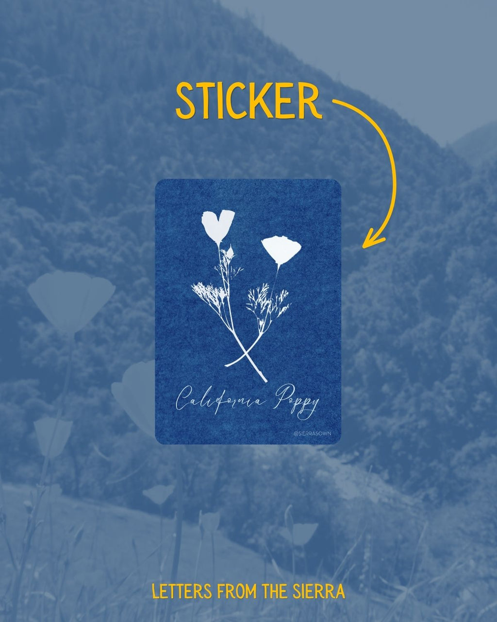 Letters from the Sierra: Monthly Print Club Subscription