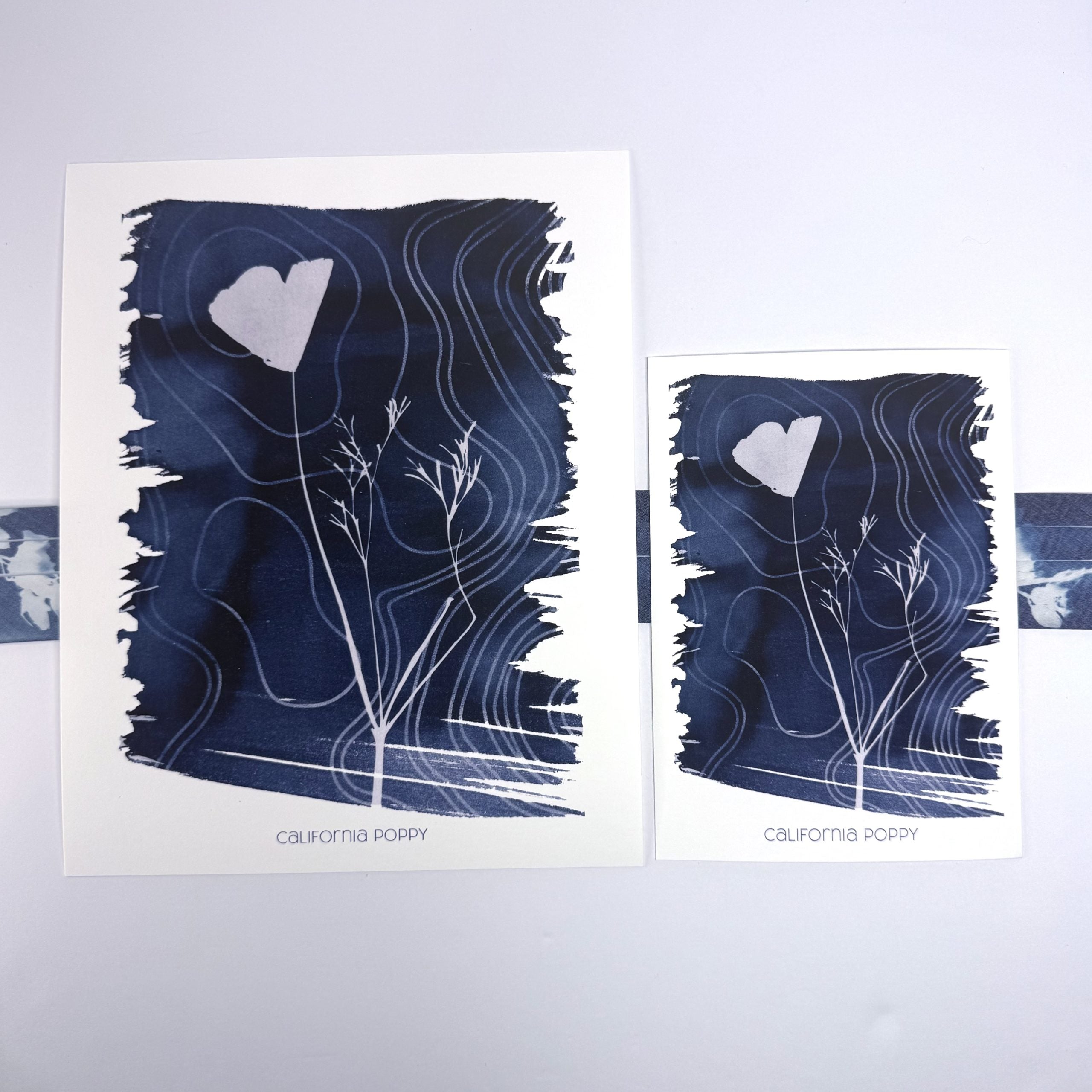 Art Print-California Poppy image 4