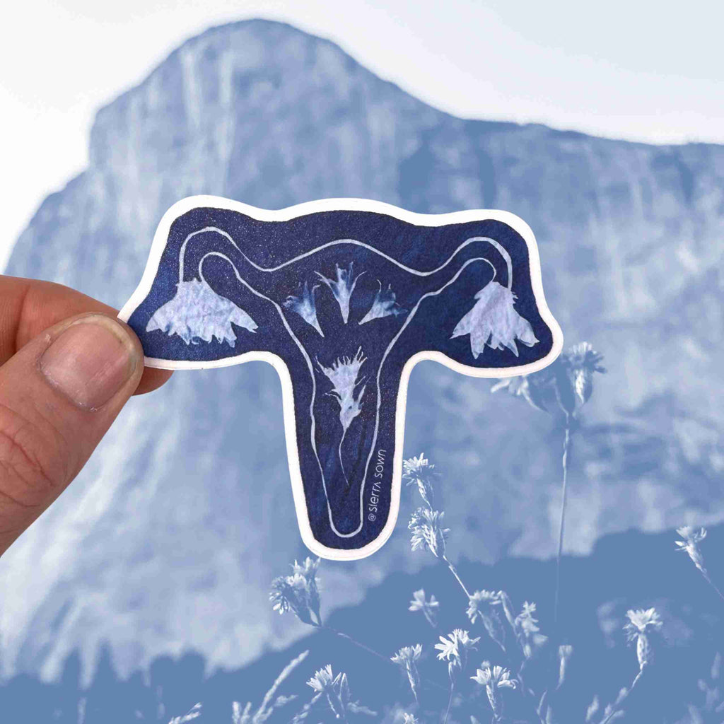 Sticker: Cyanotype Uterus image 0