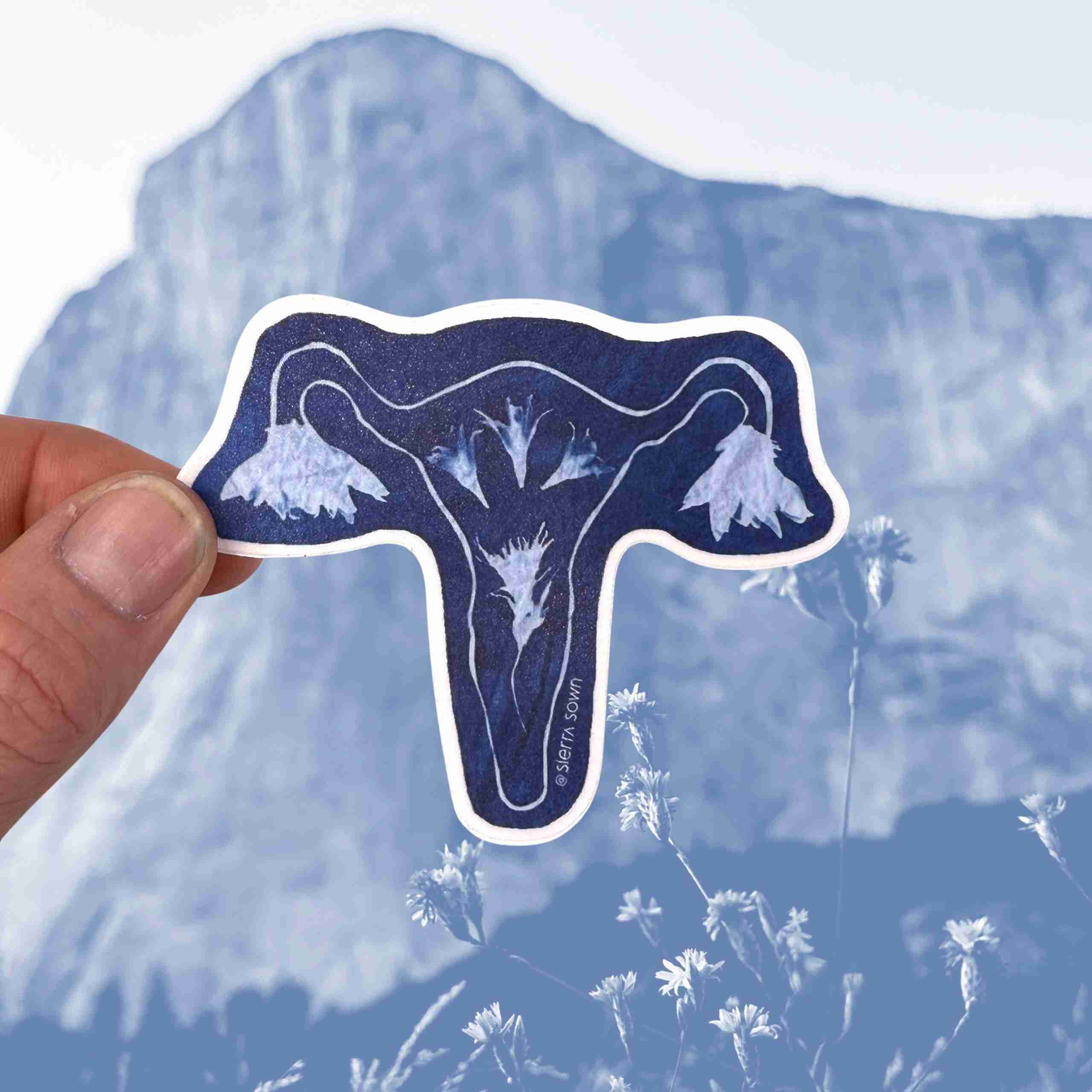 Sticker: Cyanotype Uterus image 0