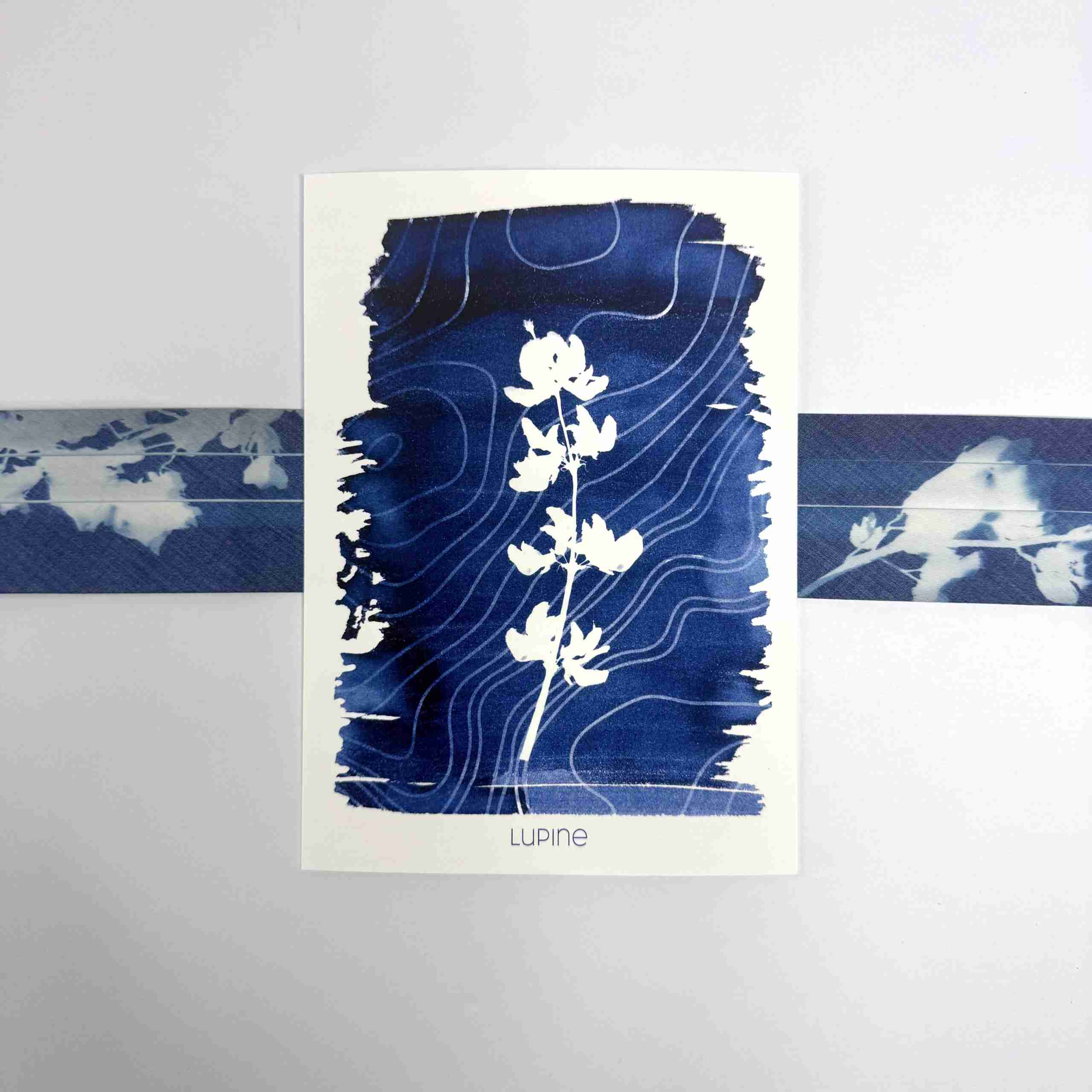 Art Print-Lupine image 2