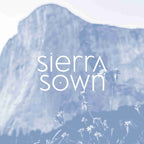 Sticker: Vinyl Sierra Sown Stacked Logo image 0