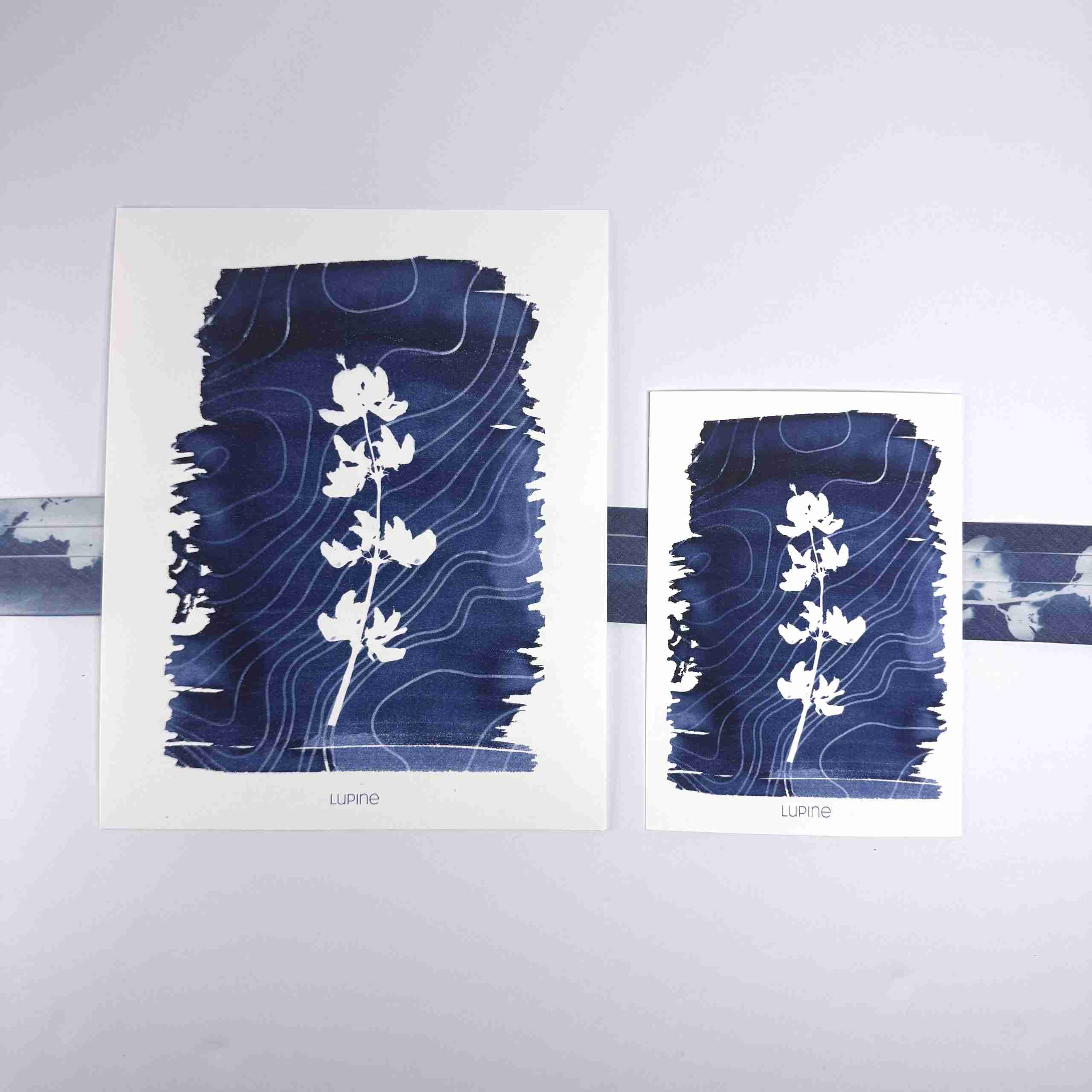 Art Print-Lupine image 4