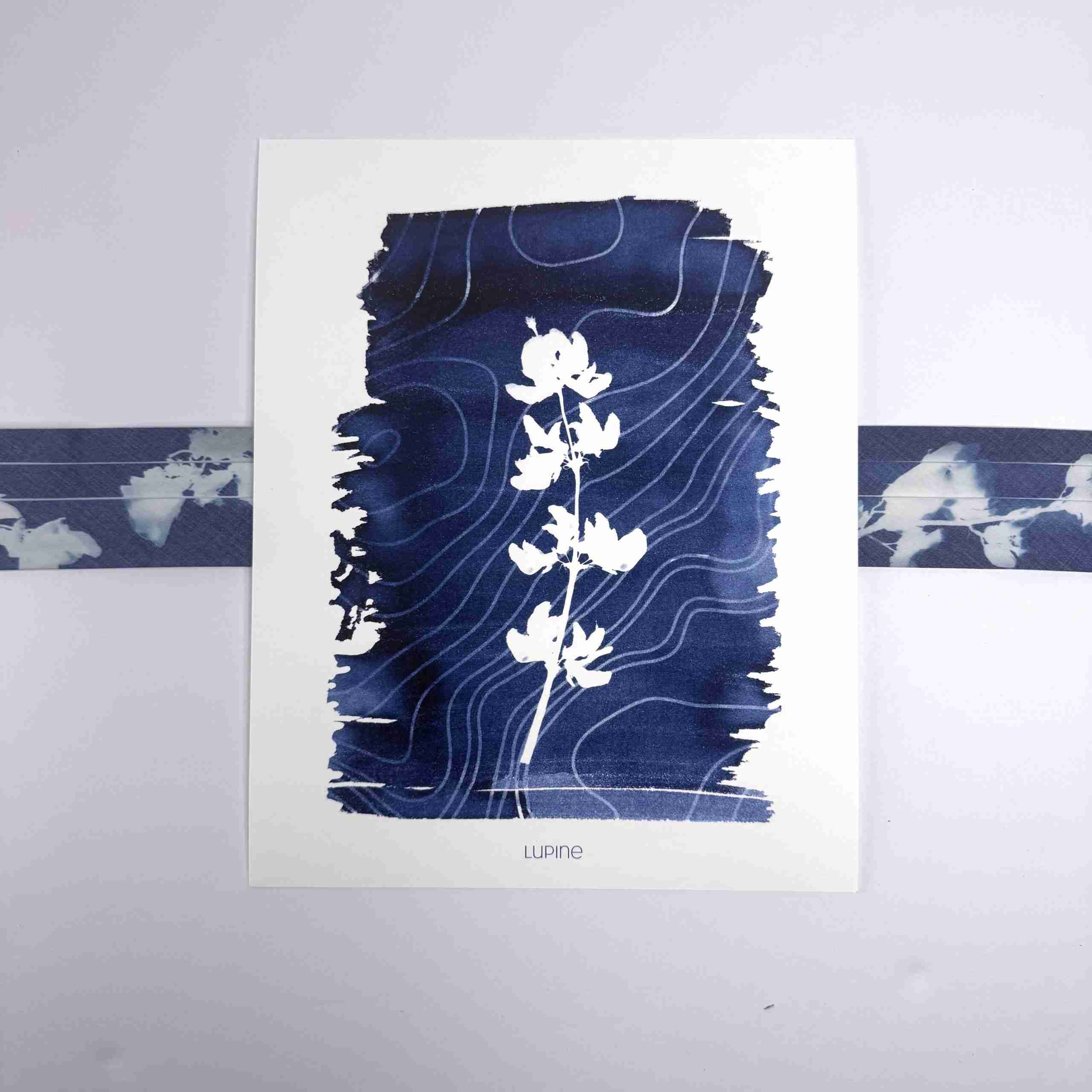 Art Print-Lupine image 3