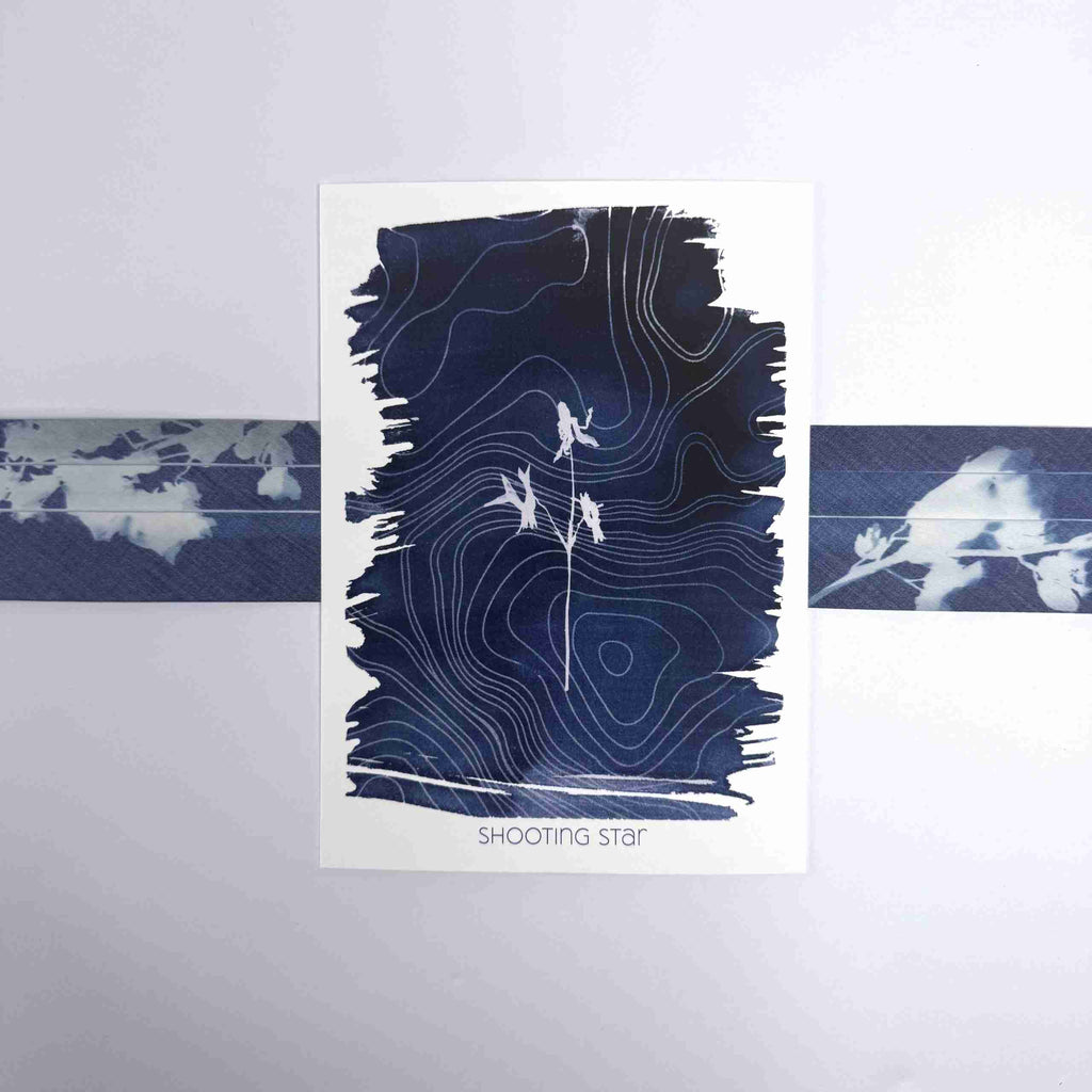 Art Print-Shooting Star - 5x7 Print image