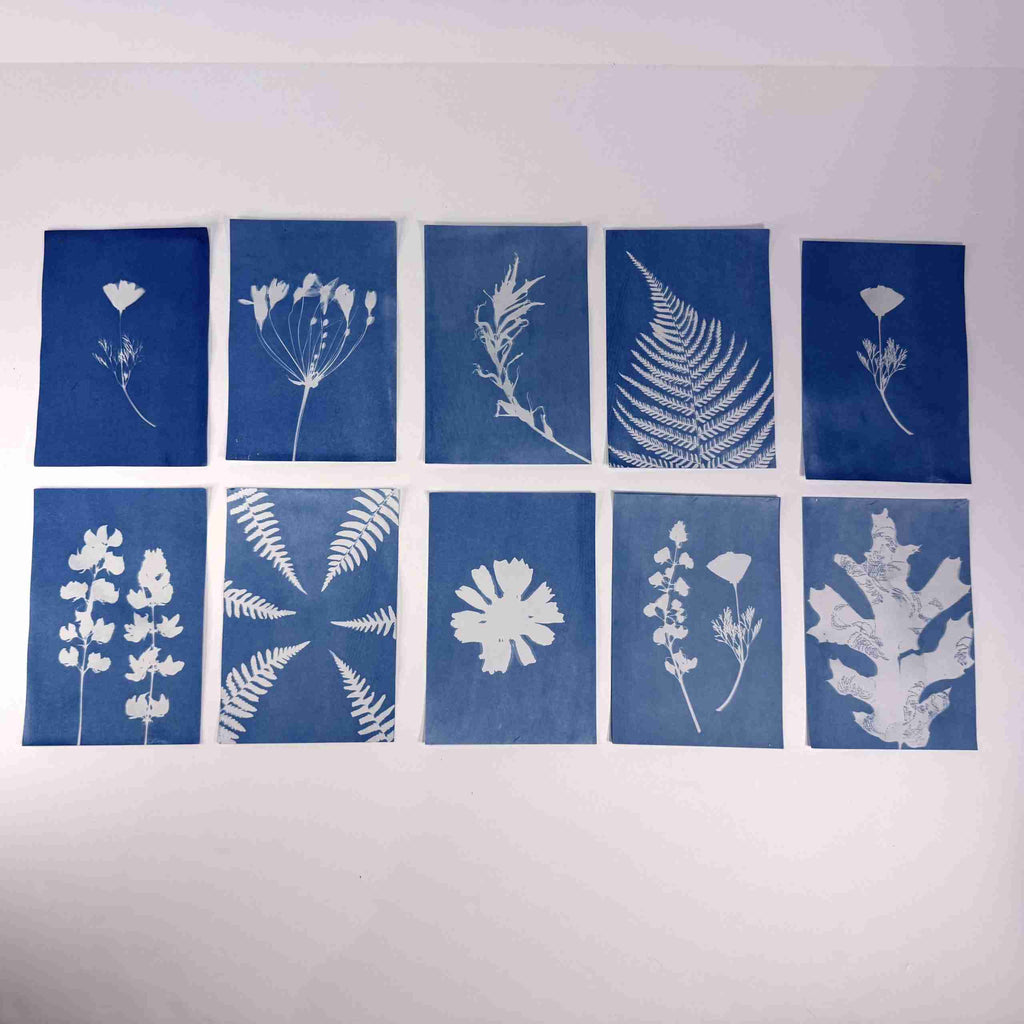 DIY Sun Printing Kit image 6