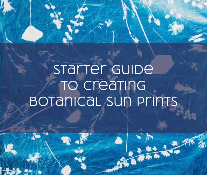 Cover of a starter guide to creating botanical sun prints with blue and white floral design.