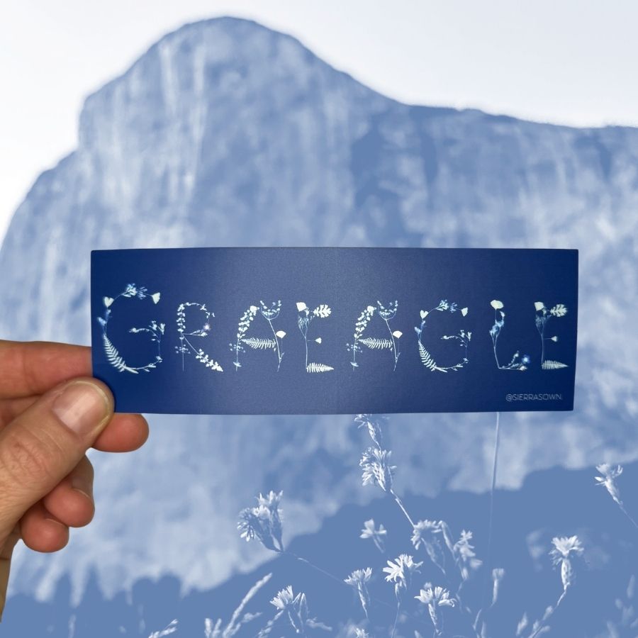 Sticker: Graeagle Flowers