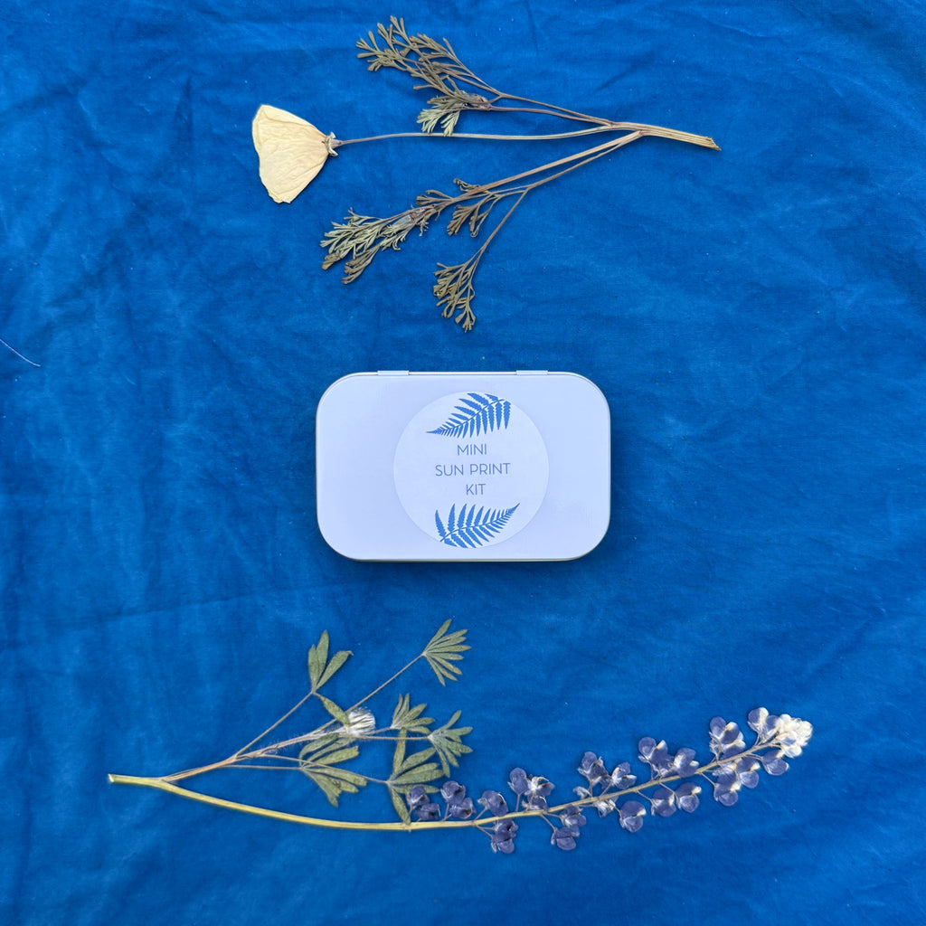 Mini Travel Sun Print Kit
