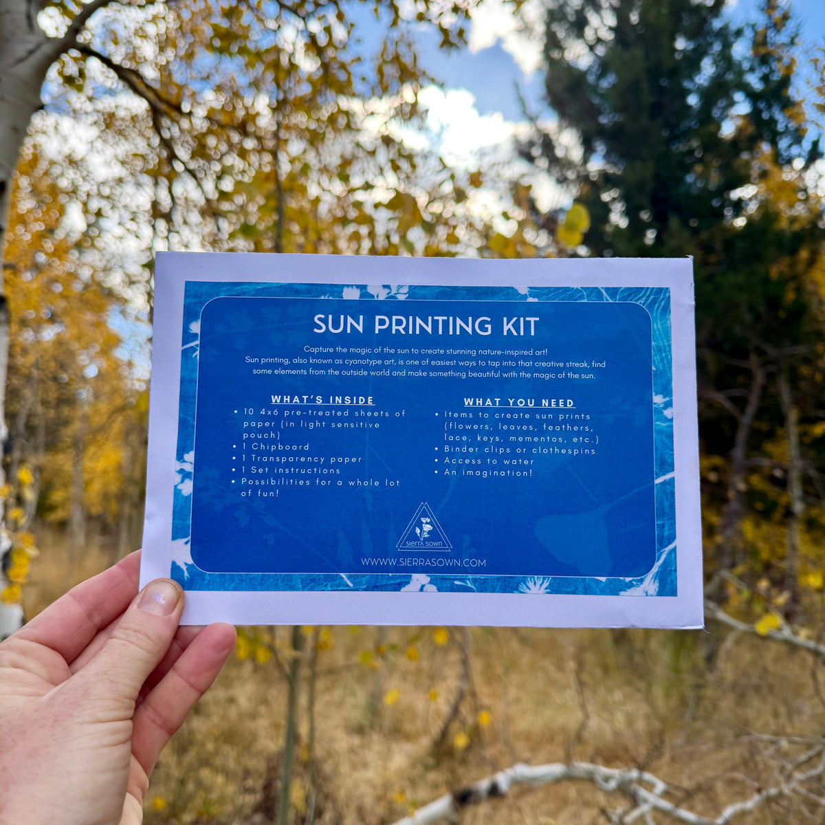 DIY Sun Printing Kit