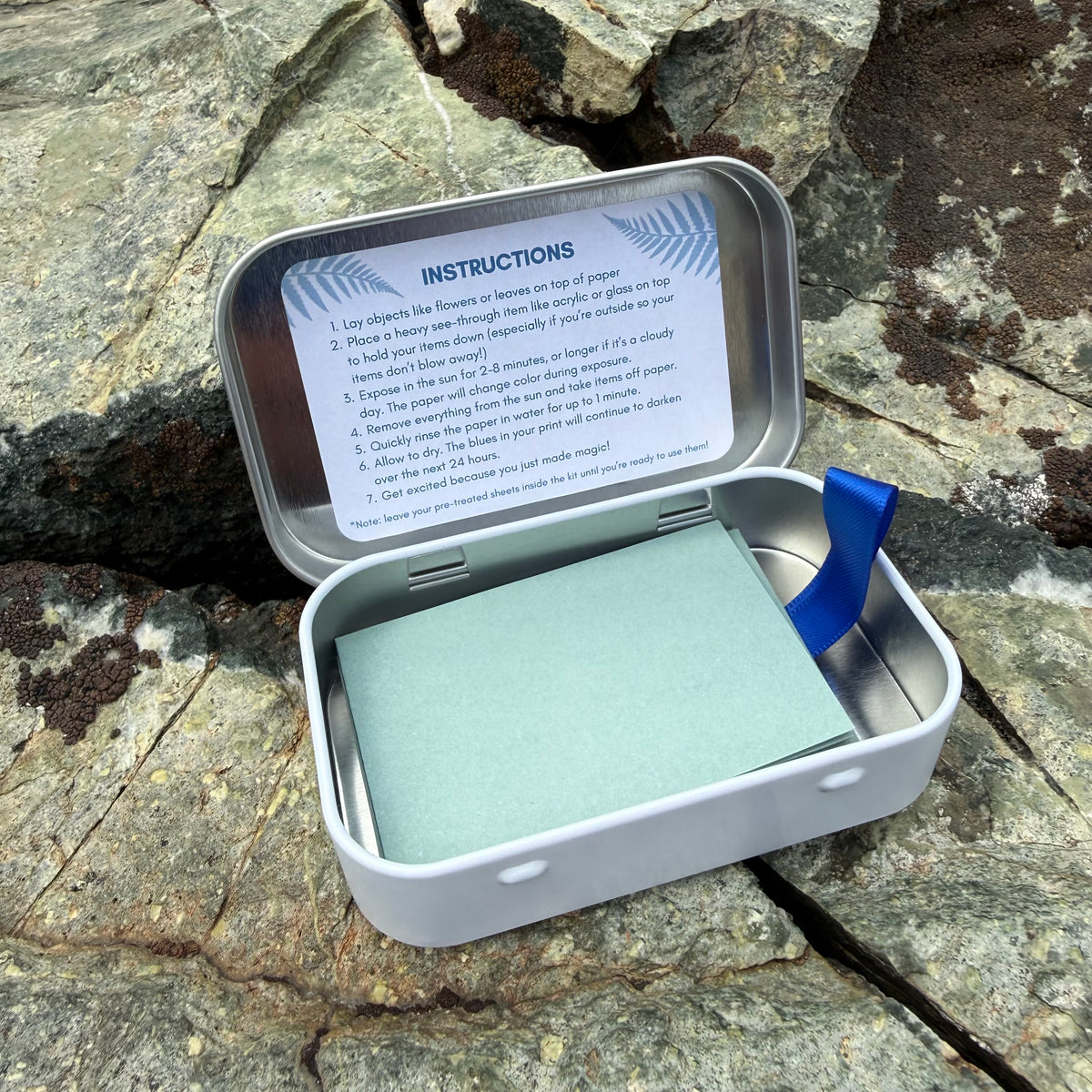 Mini Travel Sun Print Kit