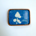 Belt Buckle: Lupine + Yosemite Topo
