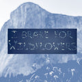 Sticker: I Brake for Wildflowers Bumper Sticker