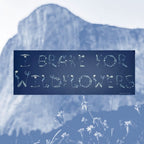 Sticker: I Brake for Wildflowers Bumper Sticker
