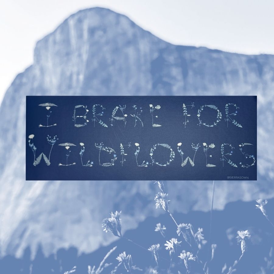 Sticker: I Brake for Wildflowers Bumper Sticker