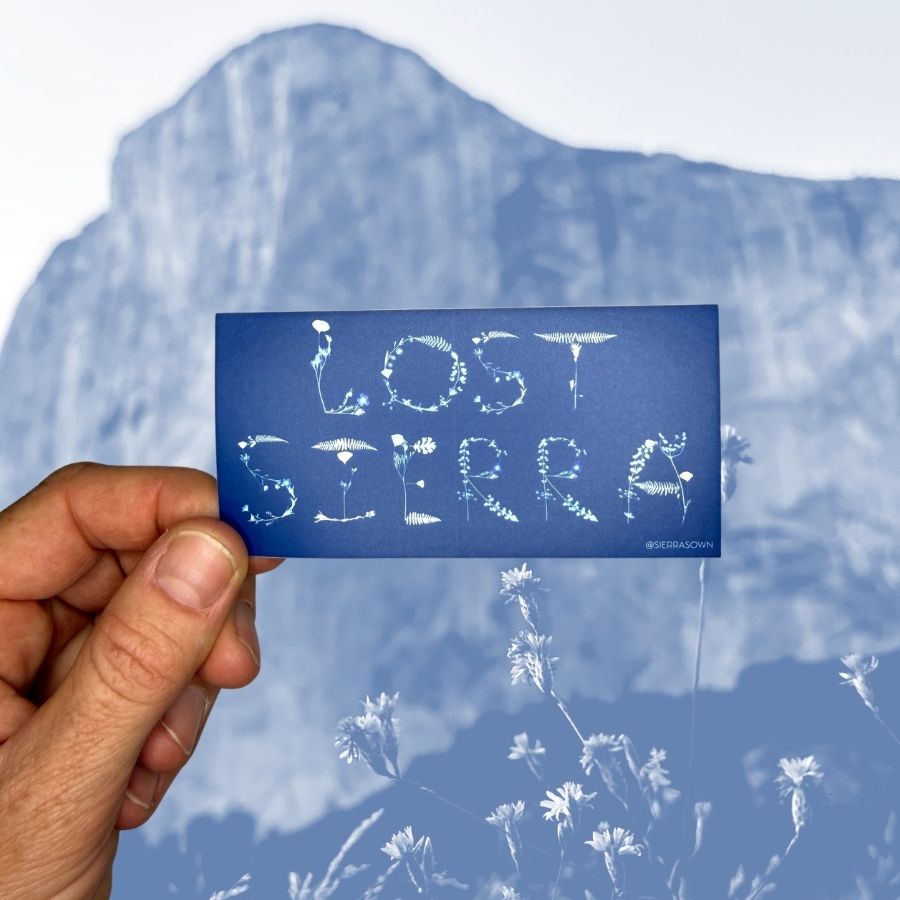 Sticker: LOST SIERRA Flowers