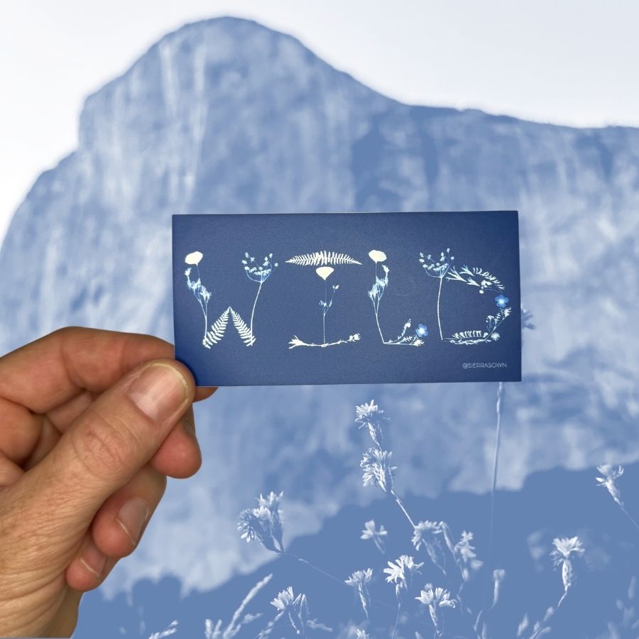 Sticker: WILD Flowers