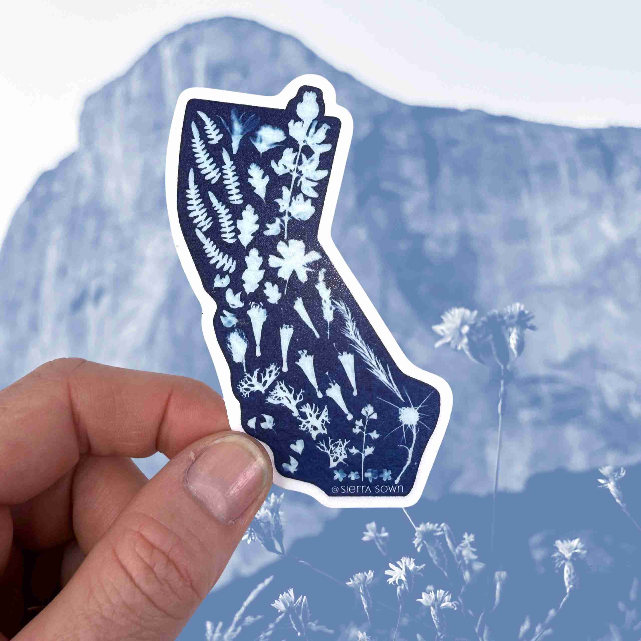 Sticker: Cyanotype California image 0