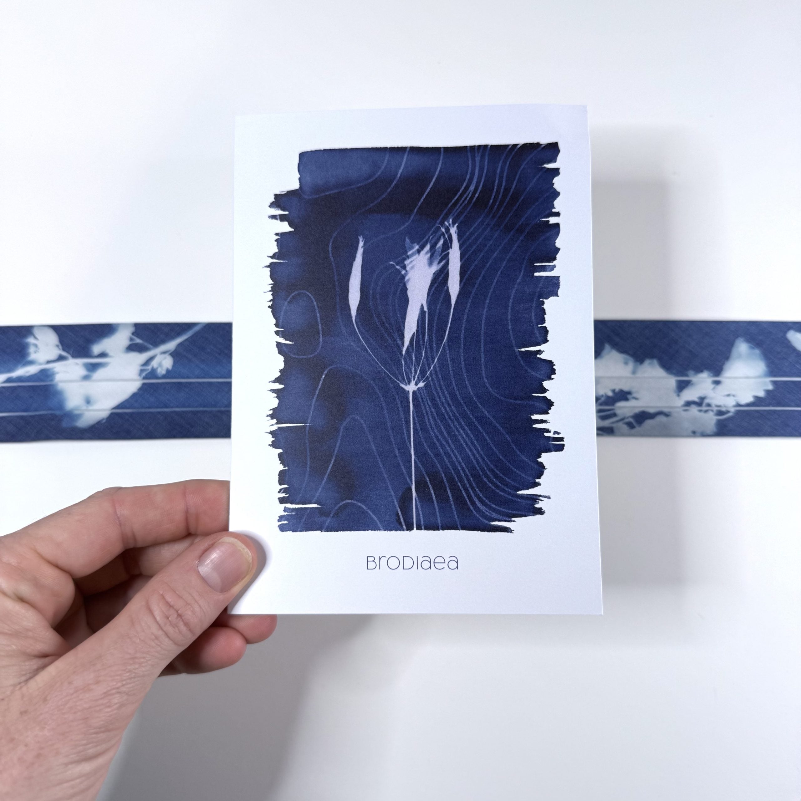 Greeting Card: Brodiaea + Topo Map image 1