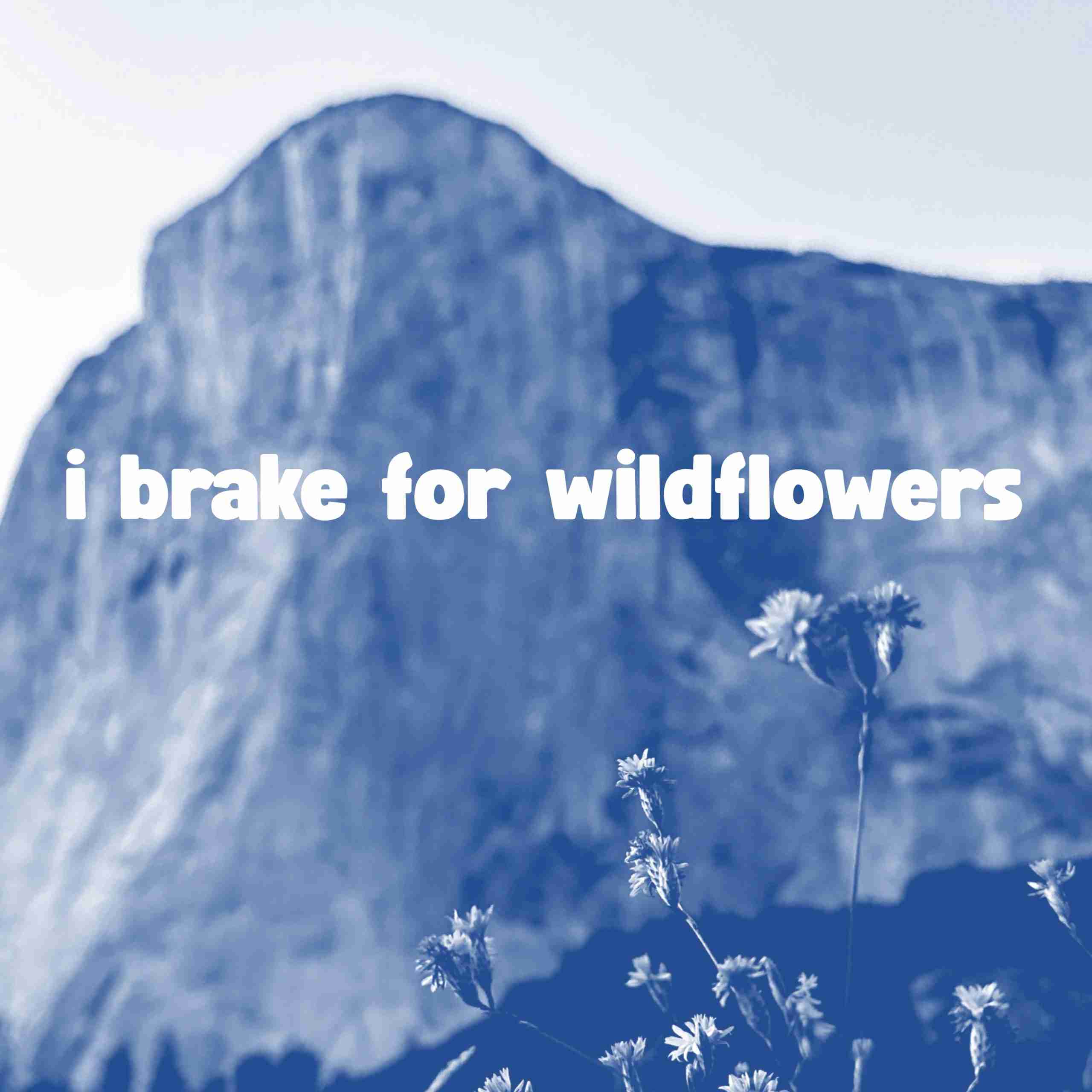 Sticker: Vinyl 'I Brake for Wildflowers' image 0