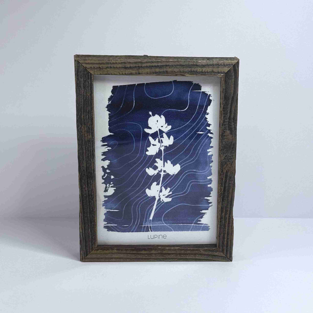 Art Print-Lupine image 5