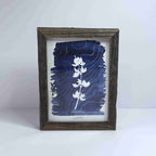 Art Print-Lupine image 5