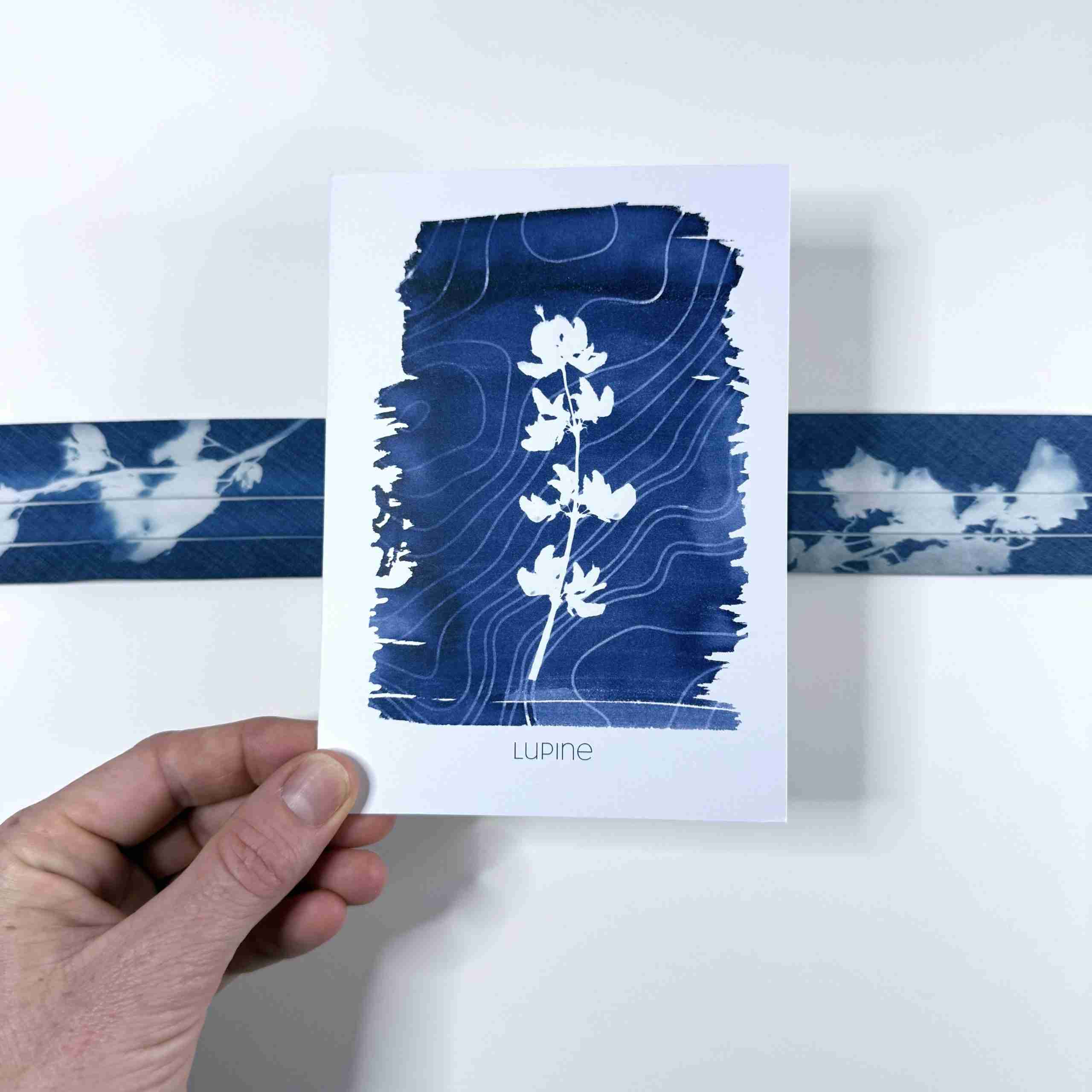 Greeting Card: Lupine + Topo Map image 1